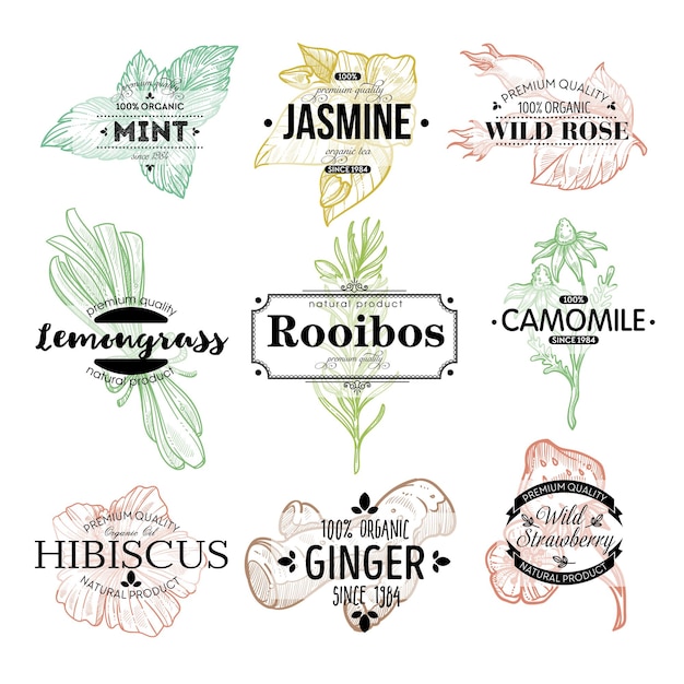 Gezonde biologische en natuurlijke thee, kruiden aromatische drank assortiment. munt en jasmijn, wilde roos en citroengras, rooibos en kamille, hibiscus en gember. label of embleem, vector in vlakke stijl flat