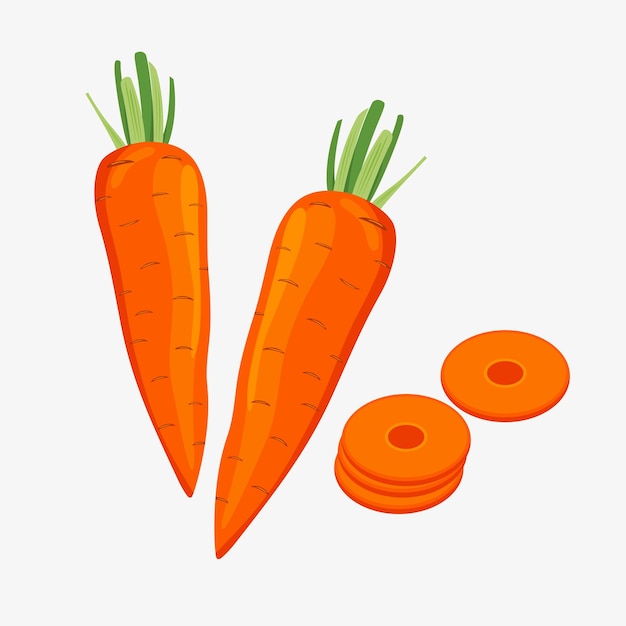 Vector gezonde oranje wortel plantaardige illustratie