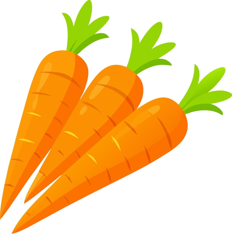 Vector gezonde oranje wortels grafische illustratie vector