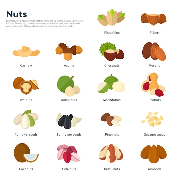 Gezonde voeding en vitamine concept hopen van verschillende noten walnoten cashewnoten amandelen en anderen