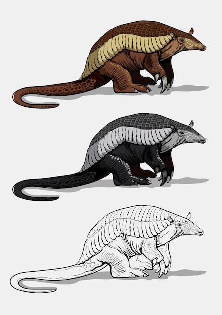 Vector a giant armadillo in color and black and white