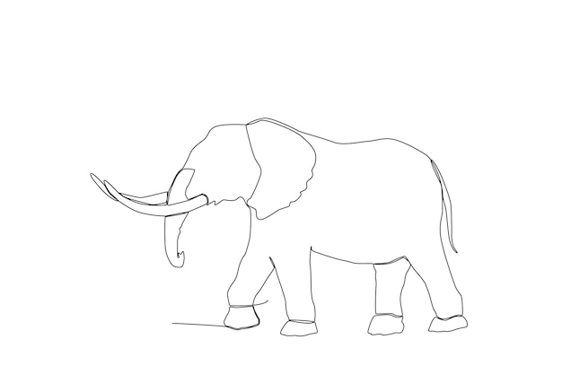 A giant elephant line art