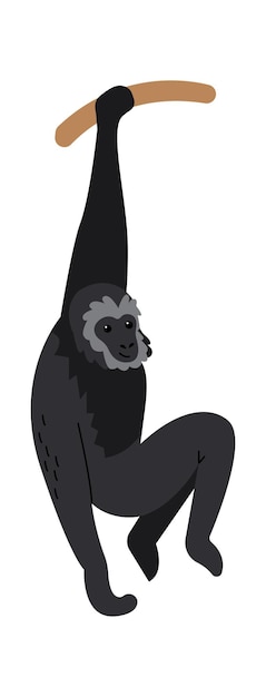 Gibbon aap Exotische dieren vectorillustratie