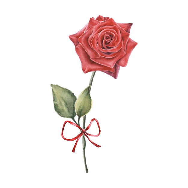 バラとホーデンジアの花の花束のギフトボックス バレンタインデー用の水彩イラスト