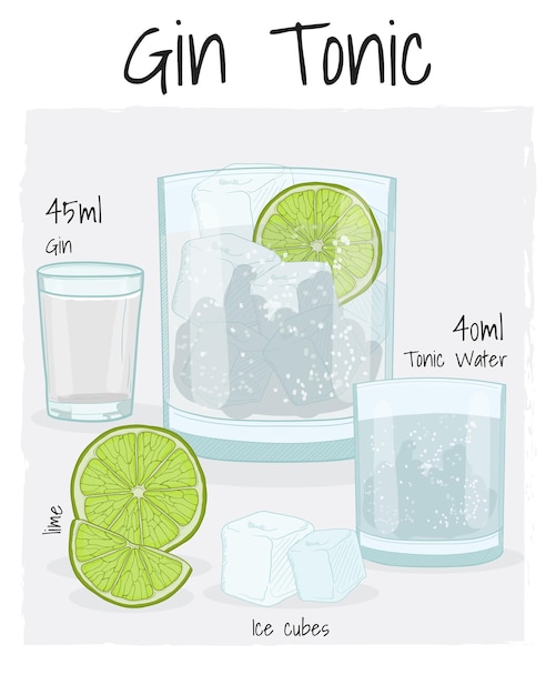 Vettore gin tonic cocktail illustrazione ricetta bevanda con ingredienti