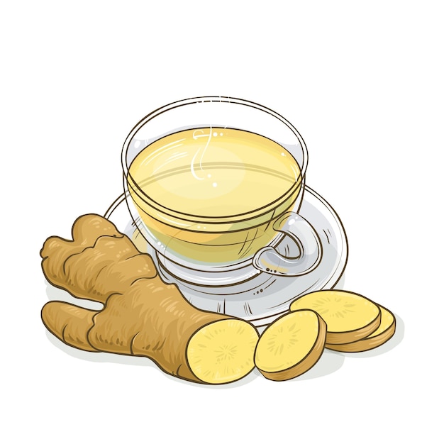 Vettore illustrazione di tè allo zenzero