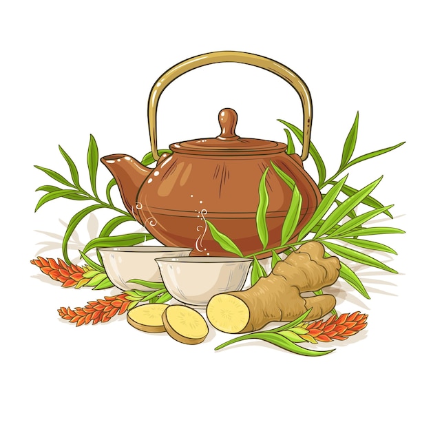 Vector ginger tea illustration