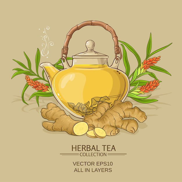 Vector ginger tea illustration