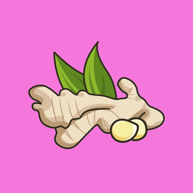 Ginger vector illustration with leaf pink background