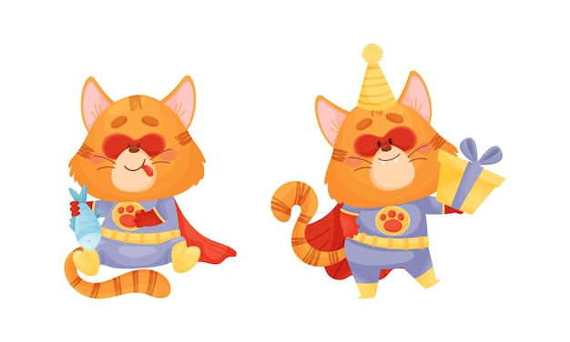 Ginger Whiskered Cat in Red Superhero Cloak Smacking Lips en Holding Gift Box Vector Set