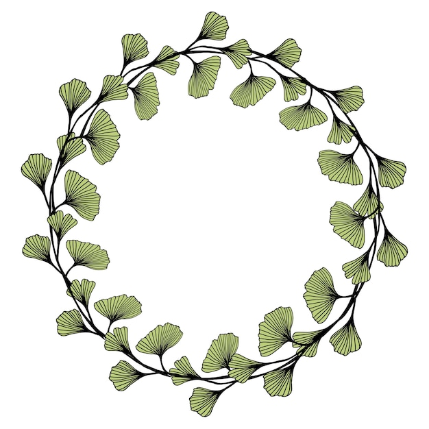 Vettore ginkgo biloba foglie cornice trendy lineare stile disegnato a mano vettor ramo di ginkgo illustrazione per cosmetici farmaci cibo biologico matrimonio
