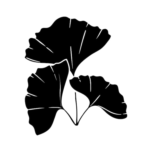 Ginkgo biloba silhouet 3 blad pictogram Medische planten pictogram bladeren pictogram