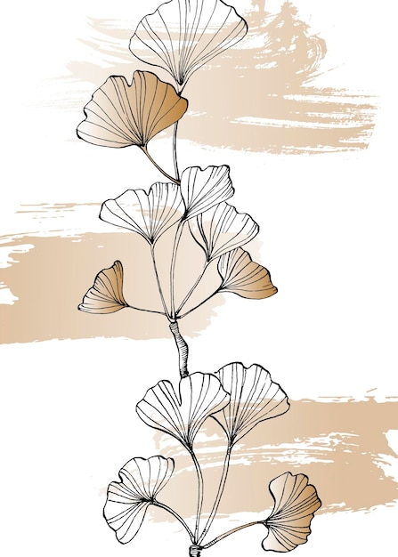 Vettore ginkgo illustrazioni dipinte a mano per la decorazione della parete fiore minimalista in stile schizzo