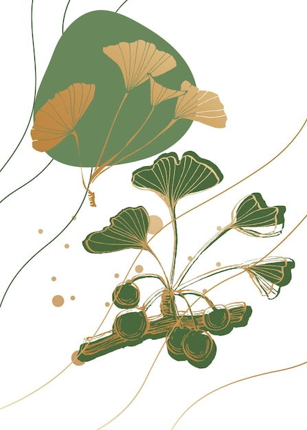 Vettore ginkgo illustrazioni dipinte a mano per la decorazione della parete fiore minimalista in stile schizzo