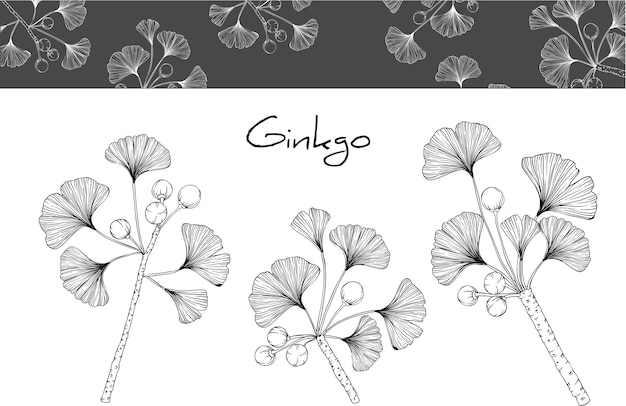 Foglia di ginkgo e disegni floreali