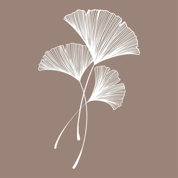 Ginkgo leaf handwriting for card decoration clip art