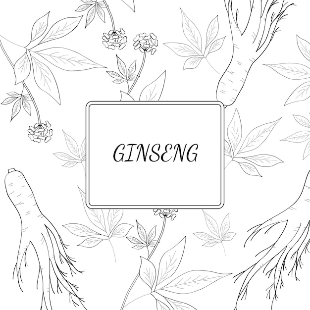 Ginseng background 2