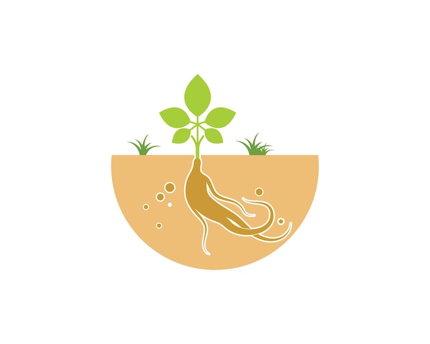 Ginseng illustratie pictogram vector ontwerp