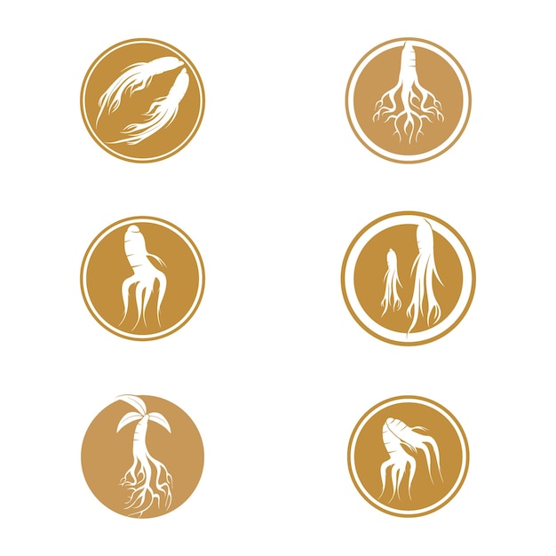 Ginseng-logo en vectorsjabloon