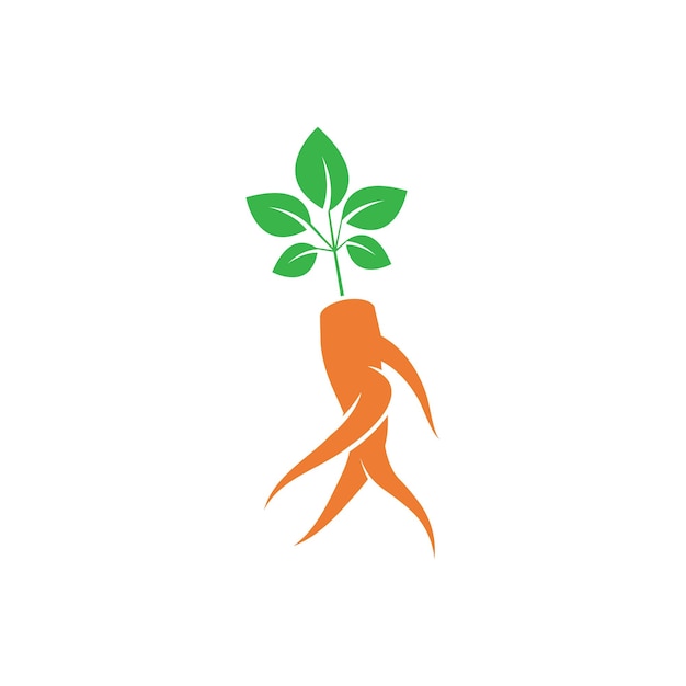 Ginseng logo icon vector design template