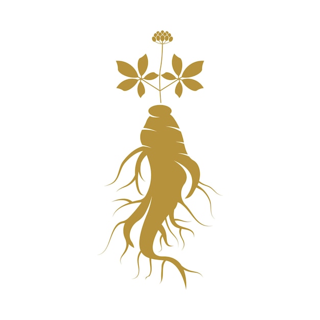 Ginseng logo ontwerpsjabloon en symboolpictogram