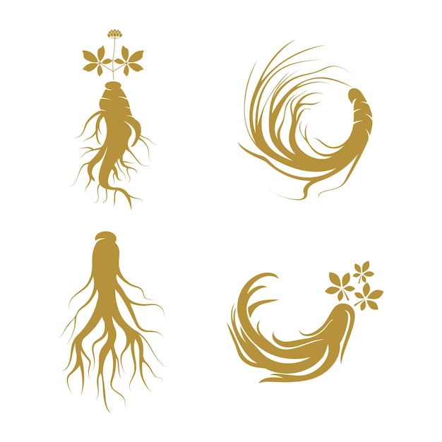 Vector ginseng logo ontwerpsjabloon en symboolpictogram