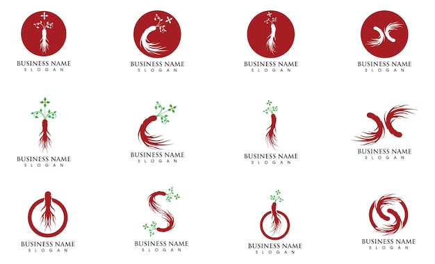 Ginseng logo and symbol vector image