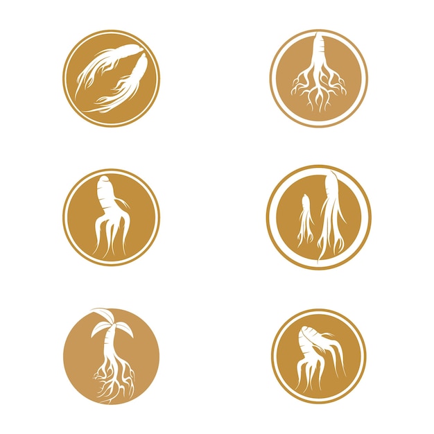 Логотип женьшеня и векторный шаблон