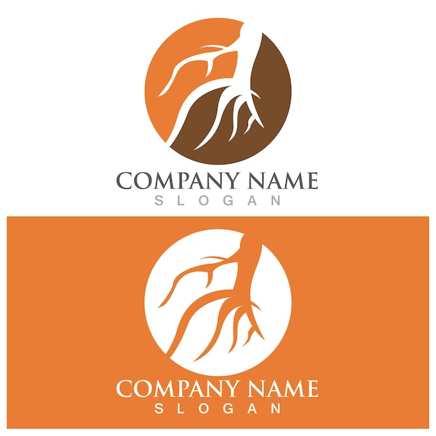 Ginseng logo and vector template