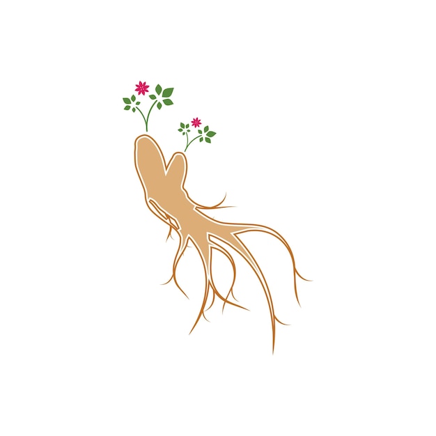 Ginseng vector icon illustration design template