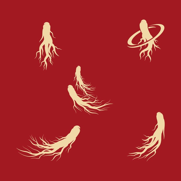 Vector ginseng vector icon illustration