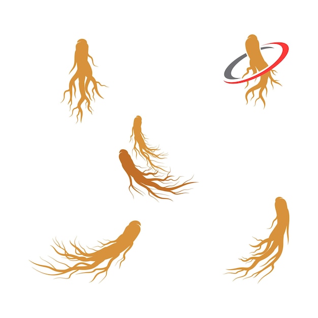 Vector ginseng vector icon illustration