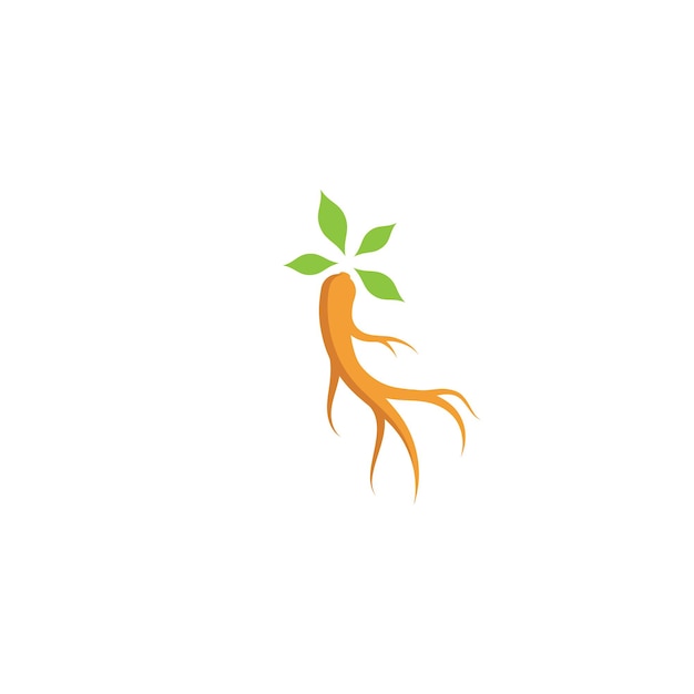 Ginseng vectorillustratie. Ginseng wortel logo symbool