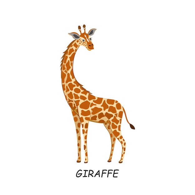 Giraffa animale africano illustrazione vettoriale isolato su sfondo bianco