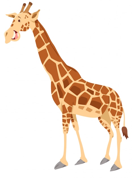 Vector giraffe animal character cartoon illustration