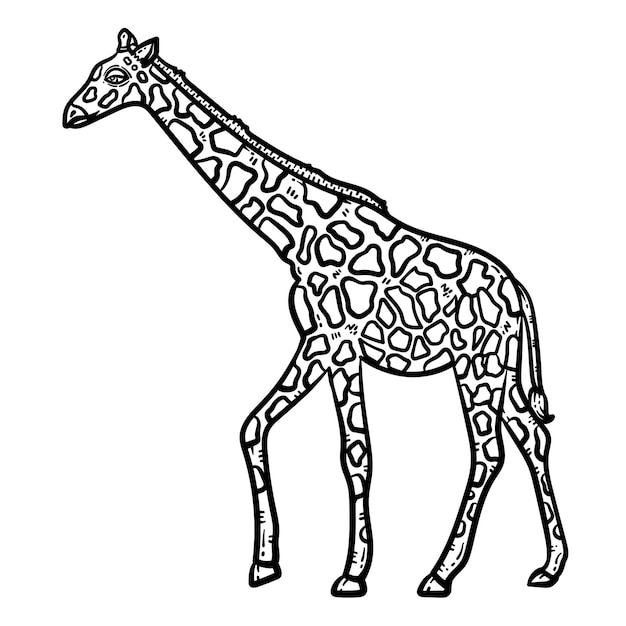 Vector giraffe animal coloring page for adult