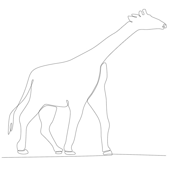 Vector giraffe animal continuous line drawing