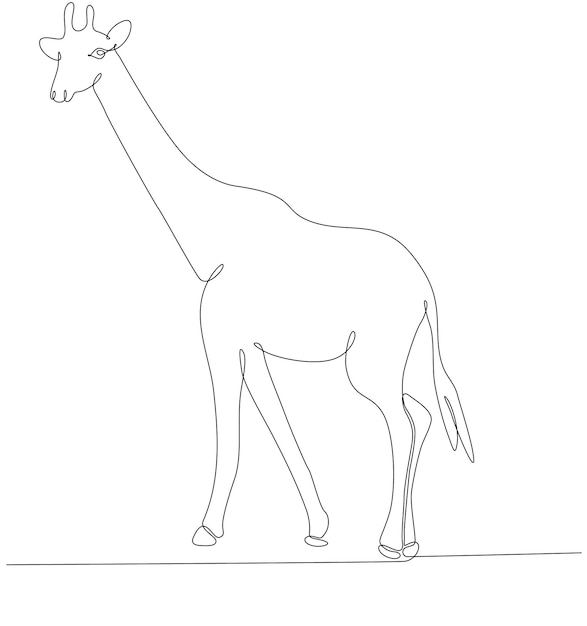 giraffe animal continuous line drawing