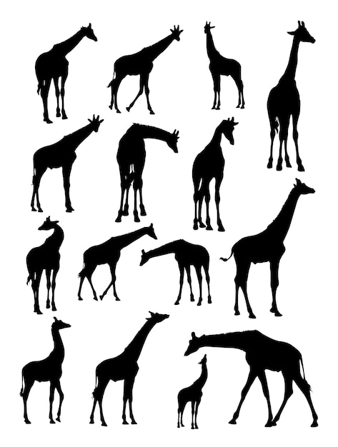 Giraffe animal silhouette