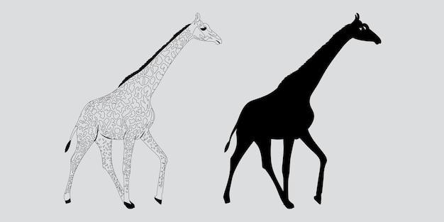 Giraffa silhouette nera giraffa disegno vettoriale contorno giraffa vettore nero e bianco