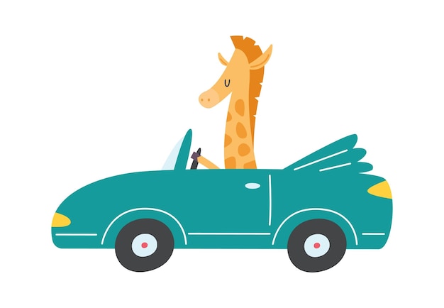 Vector giraffe in cabriolet