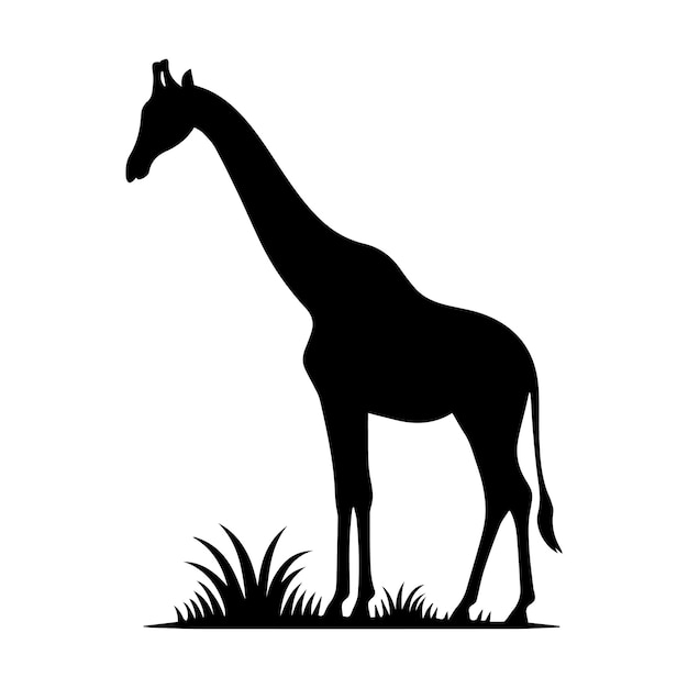 Vector giraffe camelopard giraffe silhouet bewerkbare vectorillustratie