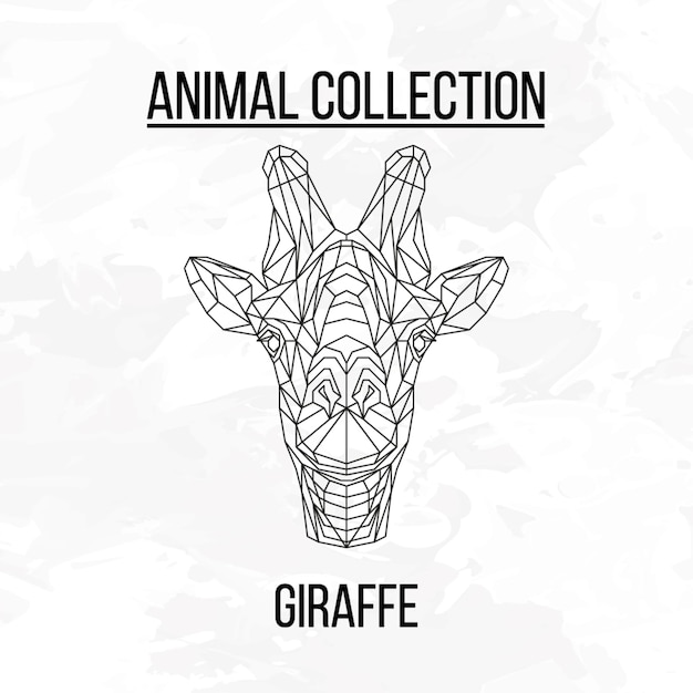 Giraffe colored head geometric lines isolated on grey background