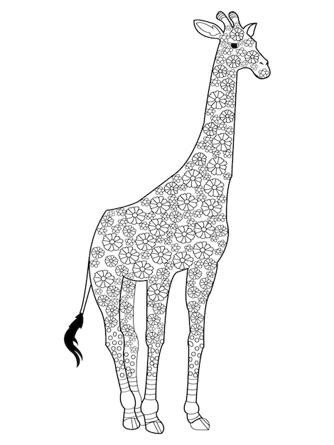 Giraffe coloring book vector for adults