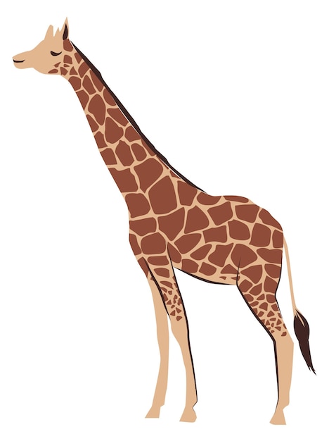 Vector giraffe icon savanha animal wild african fauna