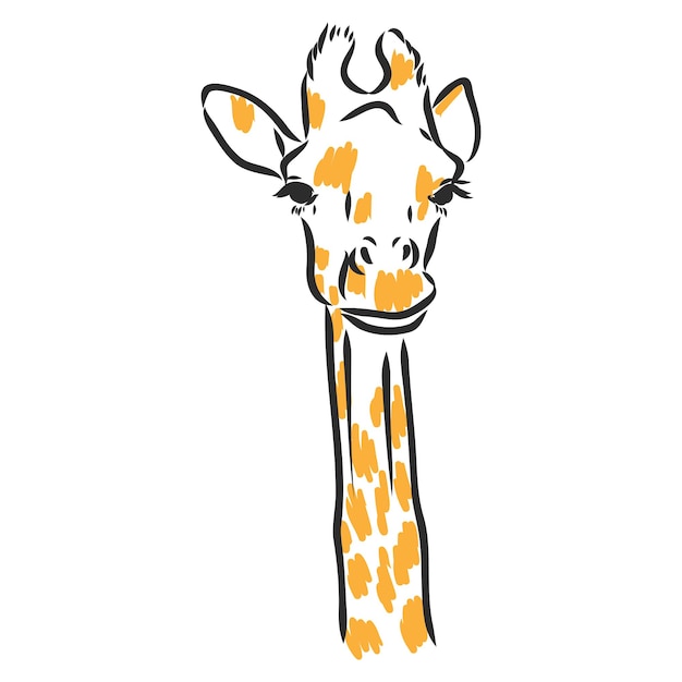 Giraffe - isolated vector with spots giraffe vector sketch