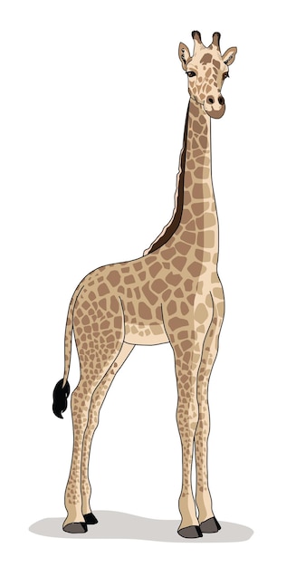 Вектор Жираф дикого животного, живущего в природе, с принтованной текстурой кожи