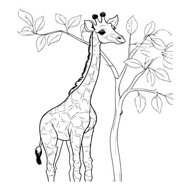 Giraffe op de boom Vectorillustratie voor kleurboek