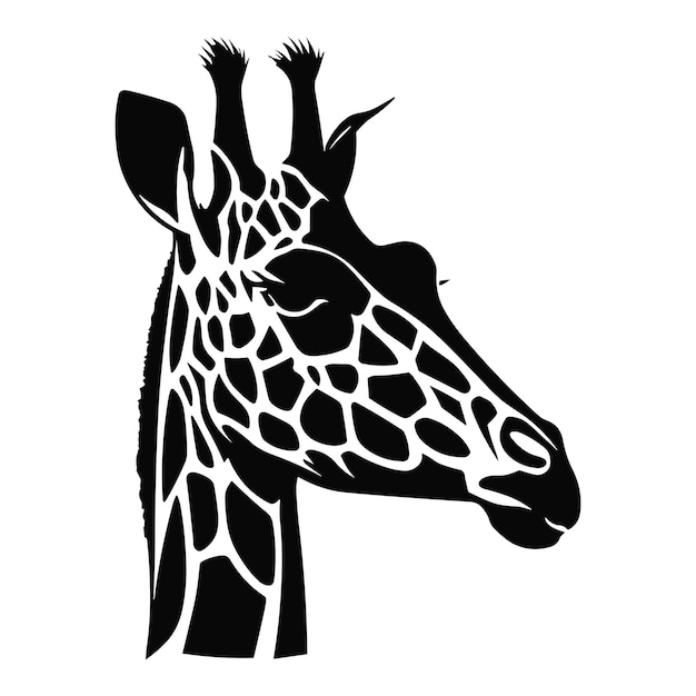 A giraffe's head with a black and white pattern.