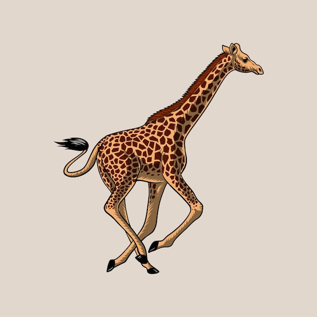 Vector giraffe savannah